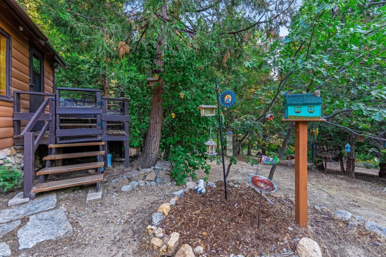 Fern Valley Lodge Idyllwild Exterior photo